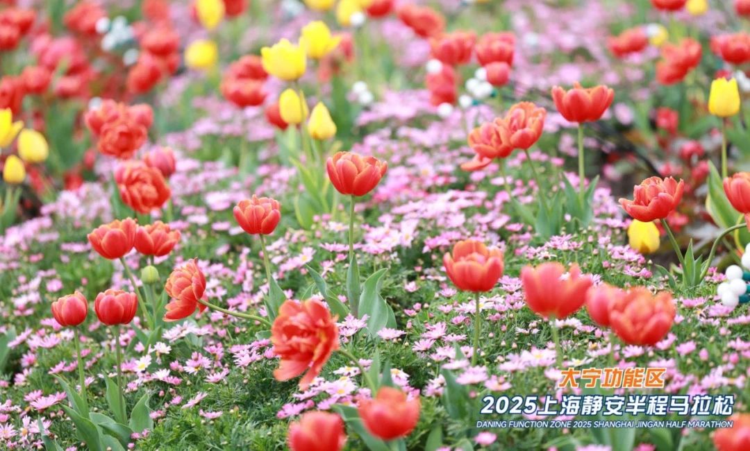 6a19158670dda9513d3aacfff0fb26dc.jpg 6a19158670dda9513d3aacfff0fb26dc.jpg